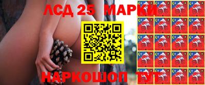 прущая мука Сланцы